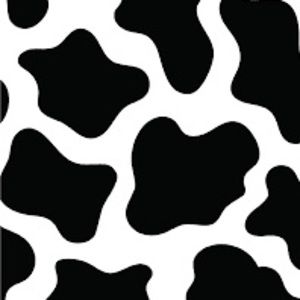 Meet your Posher, Jane